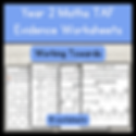 Year 2 Maths TAF Evidence worksheets