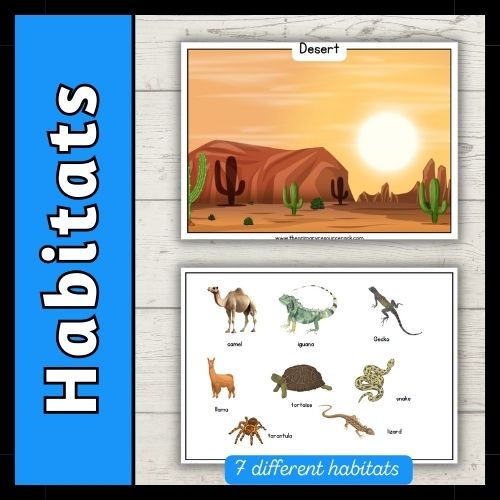 Thumbnail: Habitats classroom activity