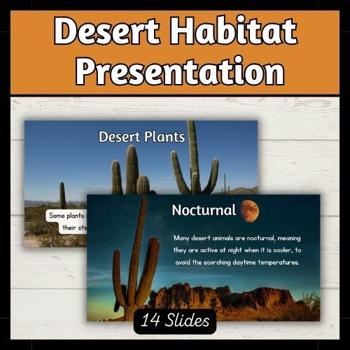 Thumbnail: Desert Habitat Presentation