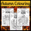 Thumbnail: Autumn Colouring Pack