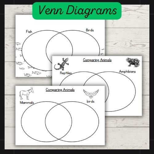 Sorting differences between animal groups