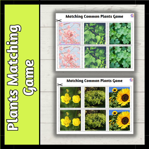 Common Plants Matching Game PrimaryResourceRack