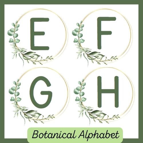 Uppercase Botanical Display lettering