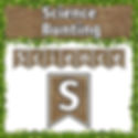 Hessian Science Bunting