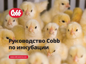 Russian Hatchery Guide.JPG