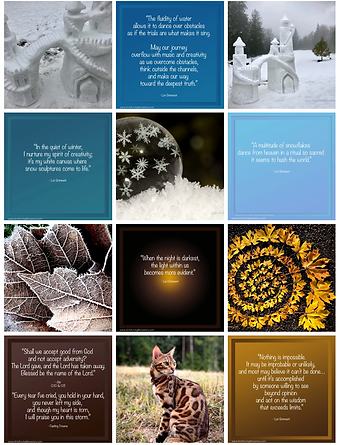 Screen Shot 2021-12-17 at 9.23.01 PM.png