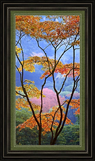 Screen Shot 2020-09-03 at 4.50.08 PM.png