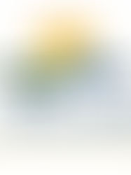 Divine H.E.A.L.I.N.G. Protocol: God's Gifts For Human Healing