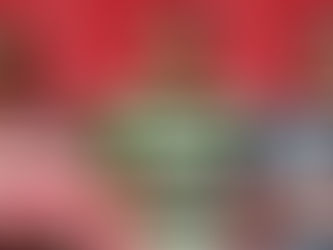 Olympiacos Winter Transfer News Update