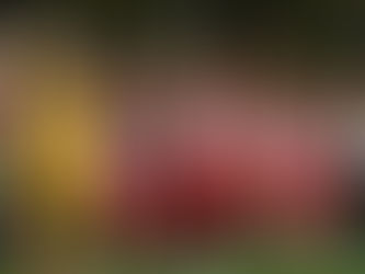 Why You Should Follow Olympiacos This Season.