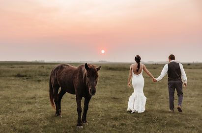couple walking into the sunset with a horse off to their side.