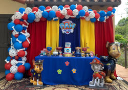 Paw Patrol Birthday Theme