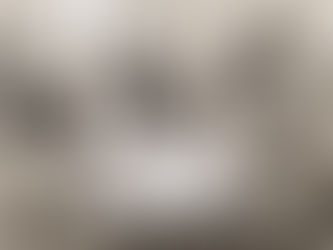 I offer myself for review