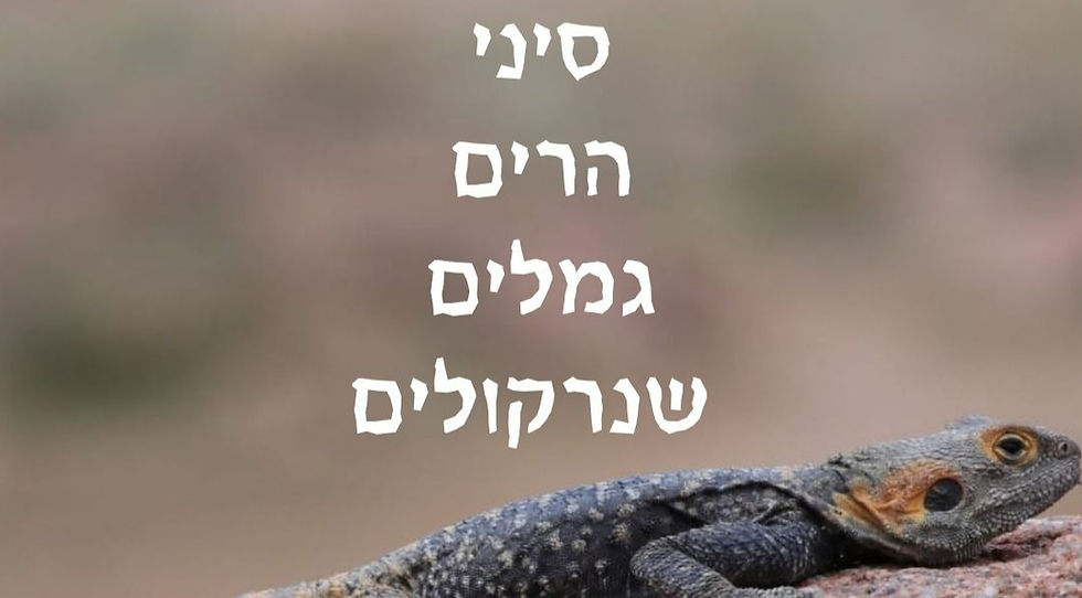 5-8.11.26