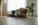 Fall Prevention for Older Adults: A Home Safety Checklist