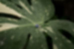 modern-wedding-details-kimhearts-photography-tropical-wedding.jpg