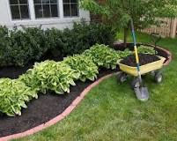 black mulch