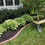 Thumbnail: black mulch