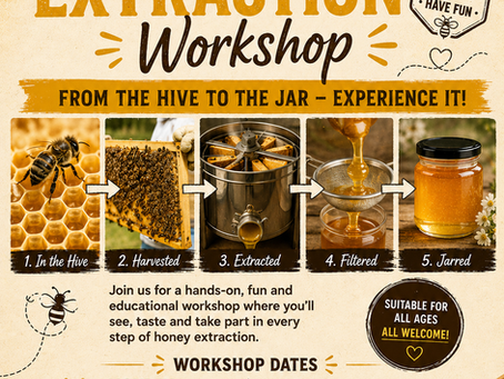 Honey extraction workshop