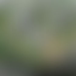 [준공] 은평 신사제2구역 주택재개발정비사업