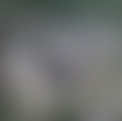 [건축심의] 인천 만수동 삼부아파트 소규모재건축정비사업