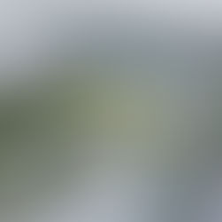 [준공] 대흥 제2구역 주택재개발정비사업