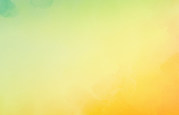 アウトドアウェディング プロデュース 結婚式