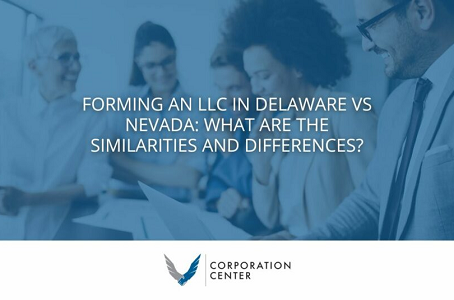 Delaware Vs Nevada LLC