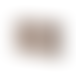 Buy Nutan 2 Box Patch Kit