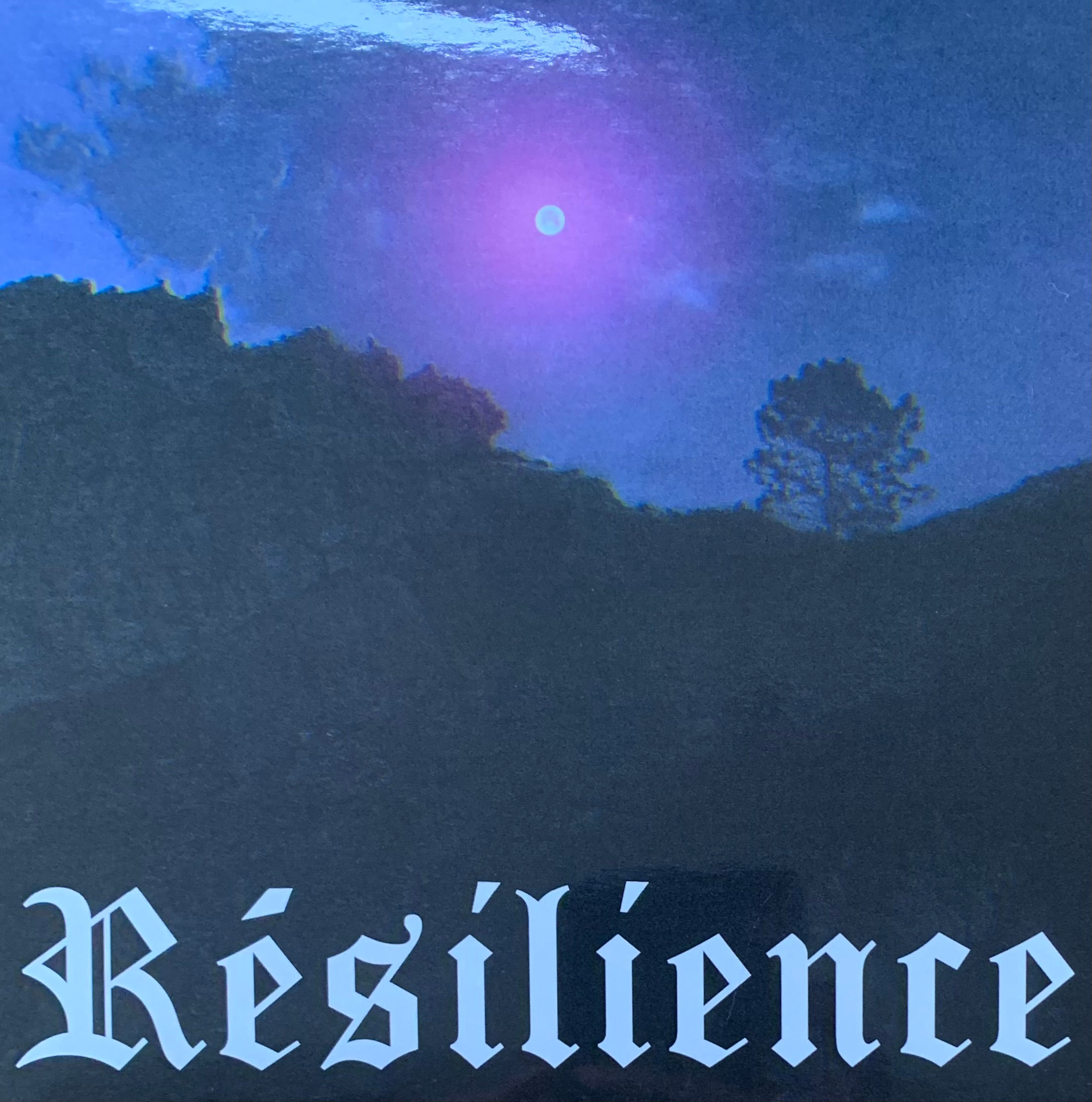 Résilience