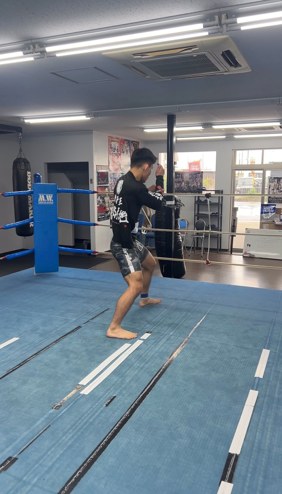 ガチ路線