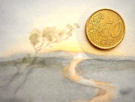 Het gouden muntstuk