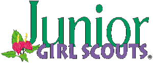 Junior Girl Scout Banner