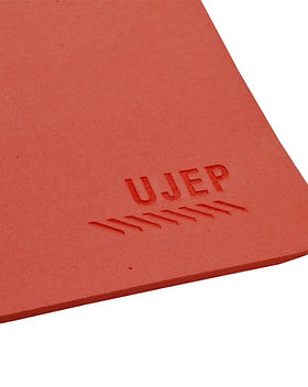 UJEP (1).jpg
