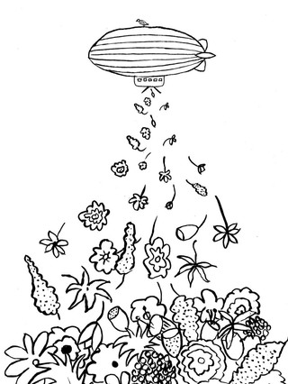 Black and white sketch for the Flowers From a Zeppelin papercut illustration by Elze van den Akker aka the jolly illustrator