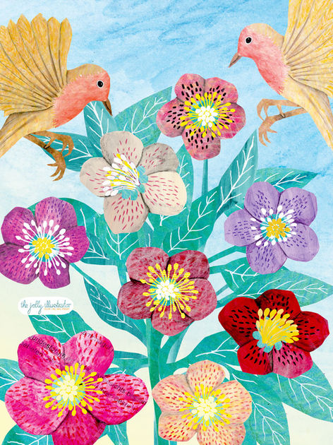 Papercut illustration of two Robins and a Hellaborus flower made by the jolly illustrator