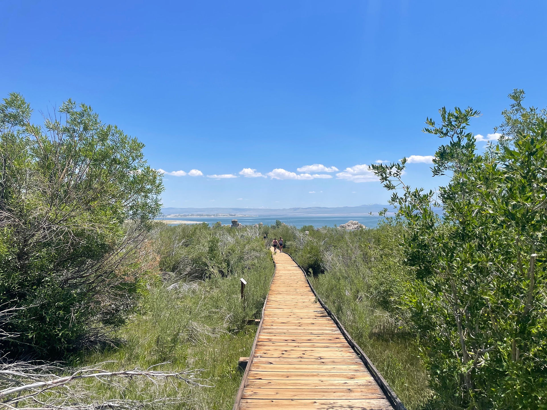 Mono Lake Boardwalk Trail