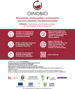 Χαρακτηριστικά γνωρίσματα και βασικές καινοτομίες του έργου Οινόβιο