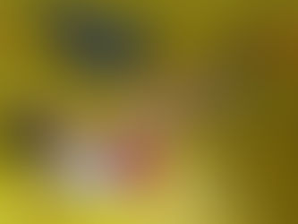 מיכל אנגל גורפינקל: הספורט כזירה לעיצוב זהות מגדרית ומינית של שחקניות כדורסל צעירות