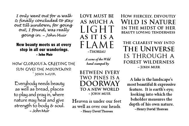Scenic Sentiments Sheet #3