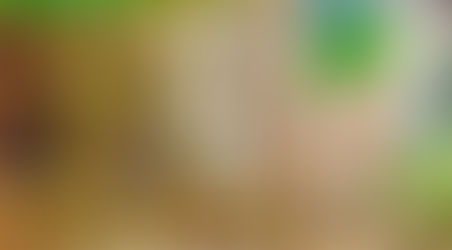 Life Doesn't Need To Be Purrrfect