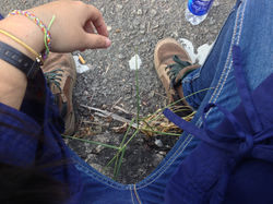 20915367050_e340d33b03_o