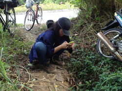 20915230180_e173f19bda_o