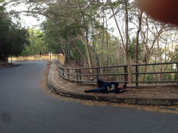 21102980105_b4a66af660_o