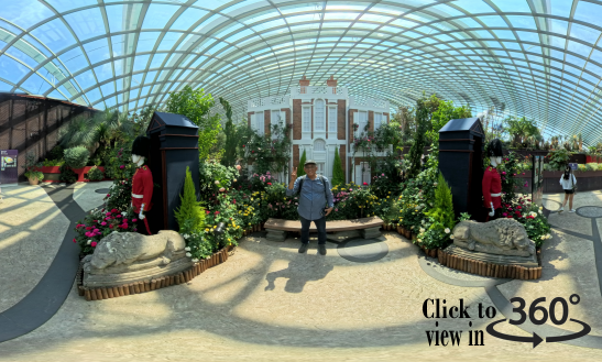 🌹 Rose Romance 2025: A Regal Stroll Through Blossoming Romance