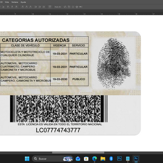 plantilla de licencia de colombia editable en psd y photopea