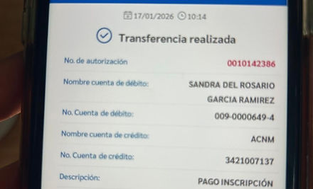 Ejemplo Boleta.jpg