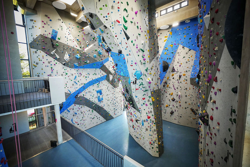 Griffwerk Kletter- und Boulderhalle Ludwigsburg