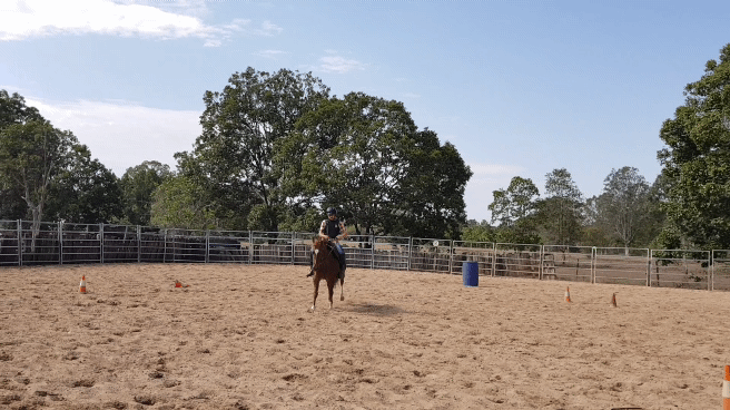 20191017_082817_1.gif