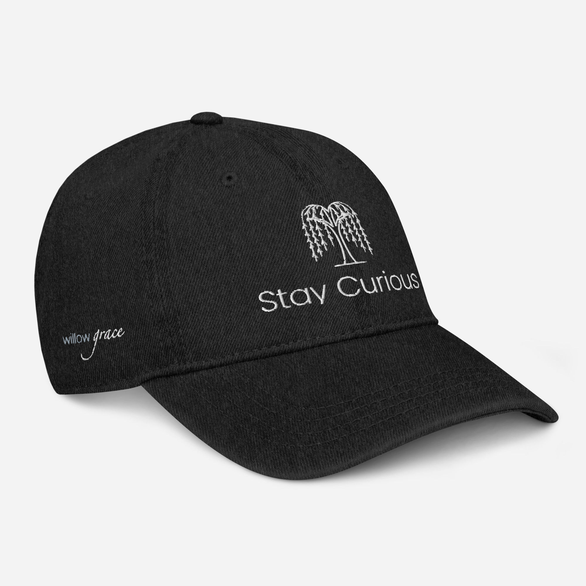 Stay Curious Denim Hat